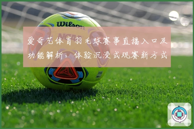 爱奇艺体育羽毛球赛事直播入口及功能解析，体验沉浸式观赛新方式