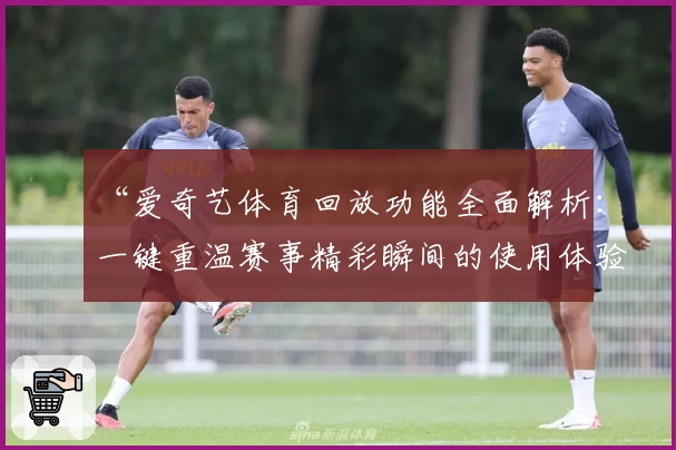 “爱奇艺体育回放功能全面解析：一键重温赛事精彩瞬间的使用体验”
